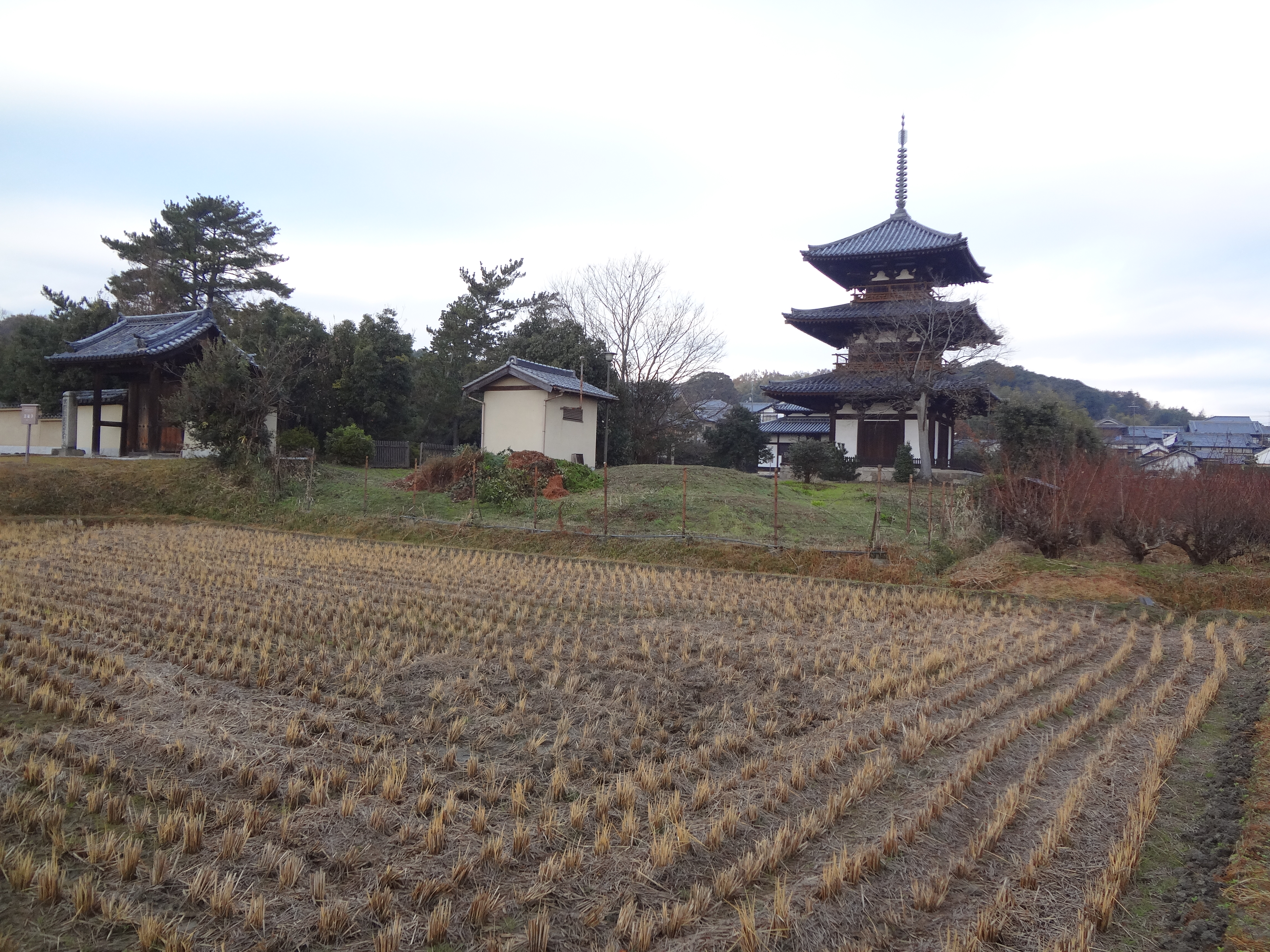 Photograph of Travelogue of Building And BuddhismStatue in Paragraph13 Number10