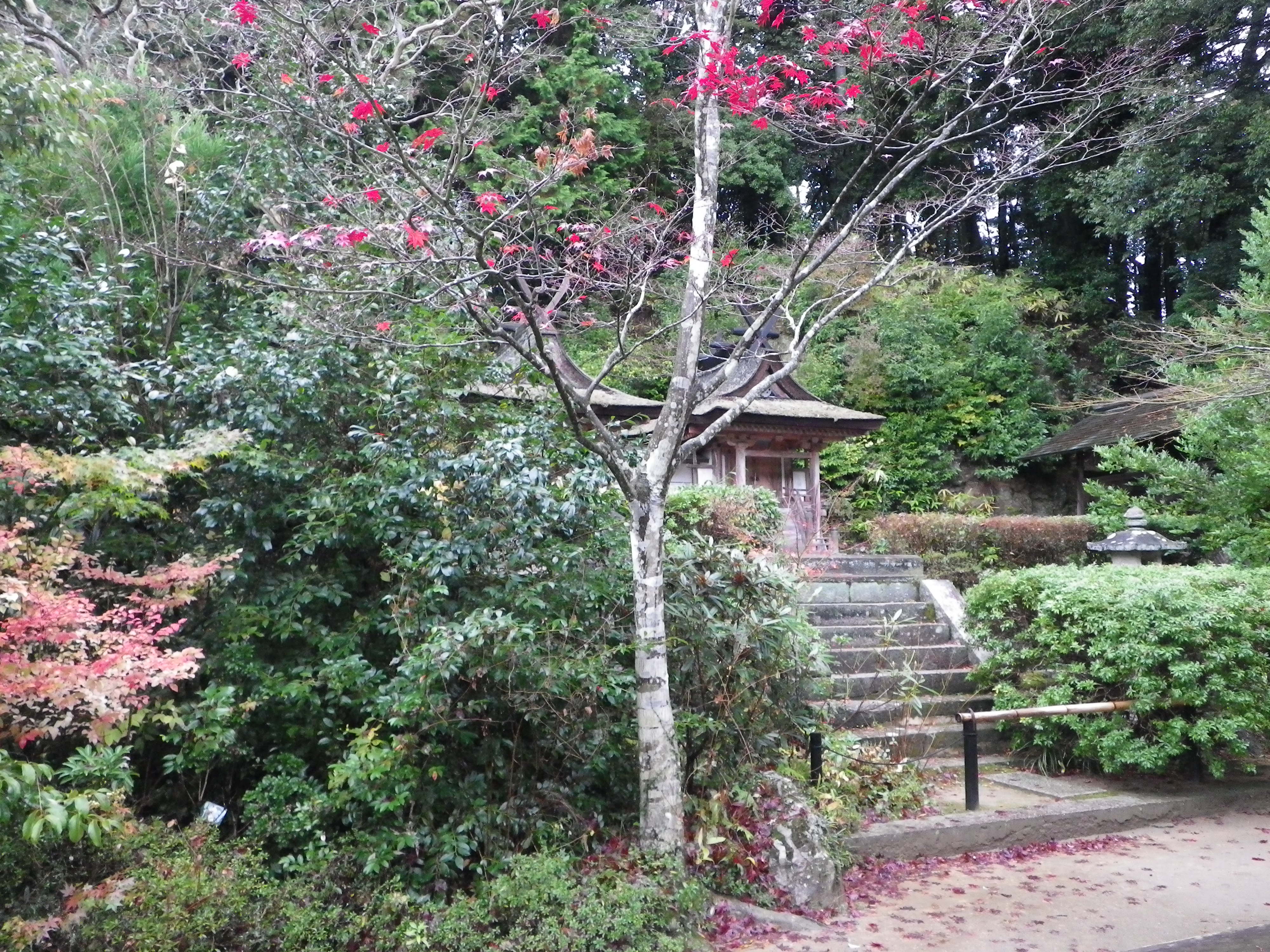 Photograph of Travelogue of Building And BuddhismStatue in Paragraph25 Number20