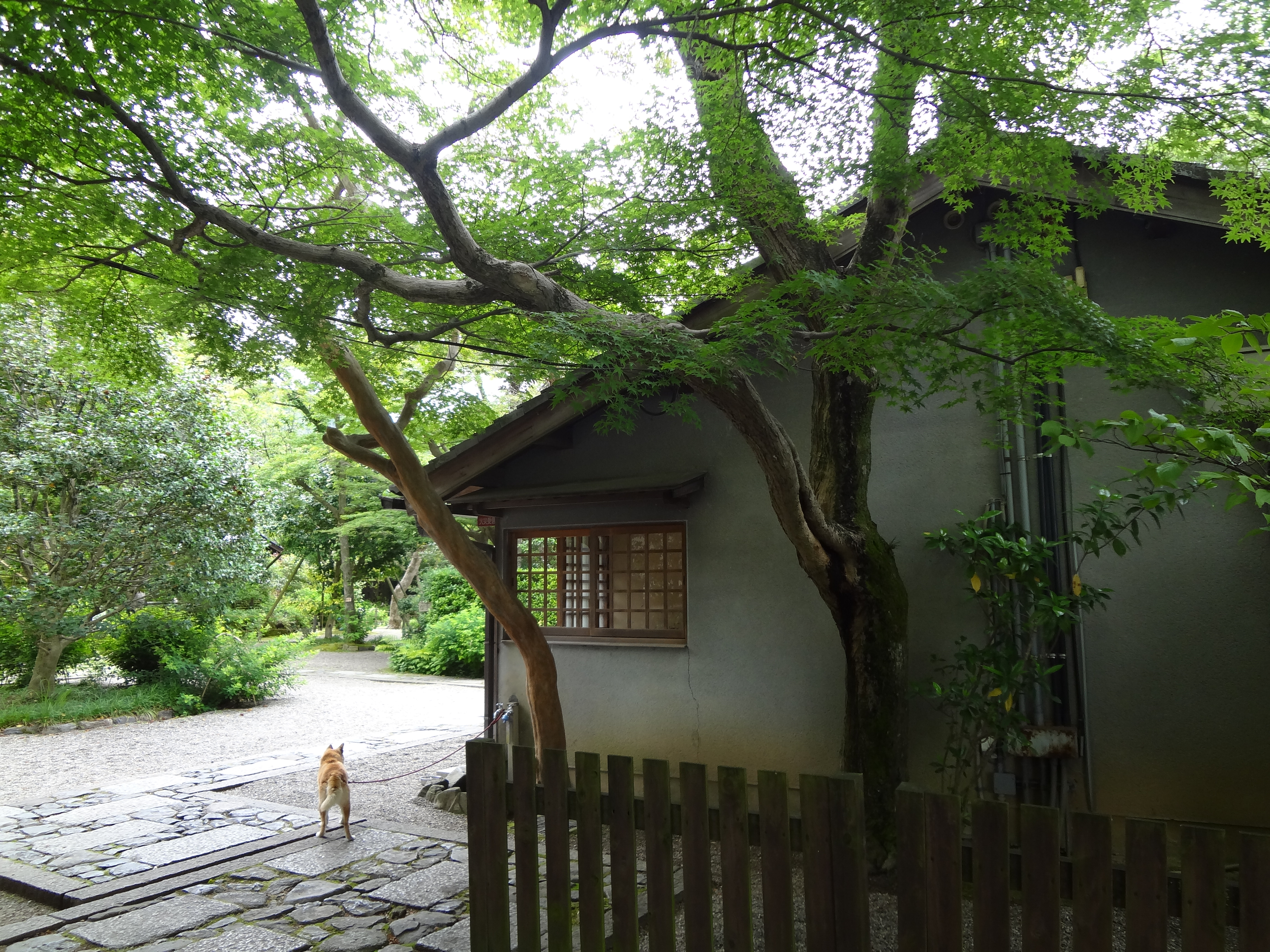 Photograph of Travelogue of Building And BuddhismStatue in Paragraph36 Number09