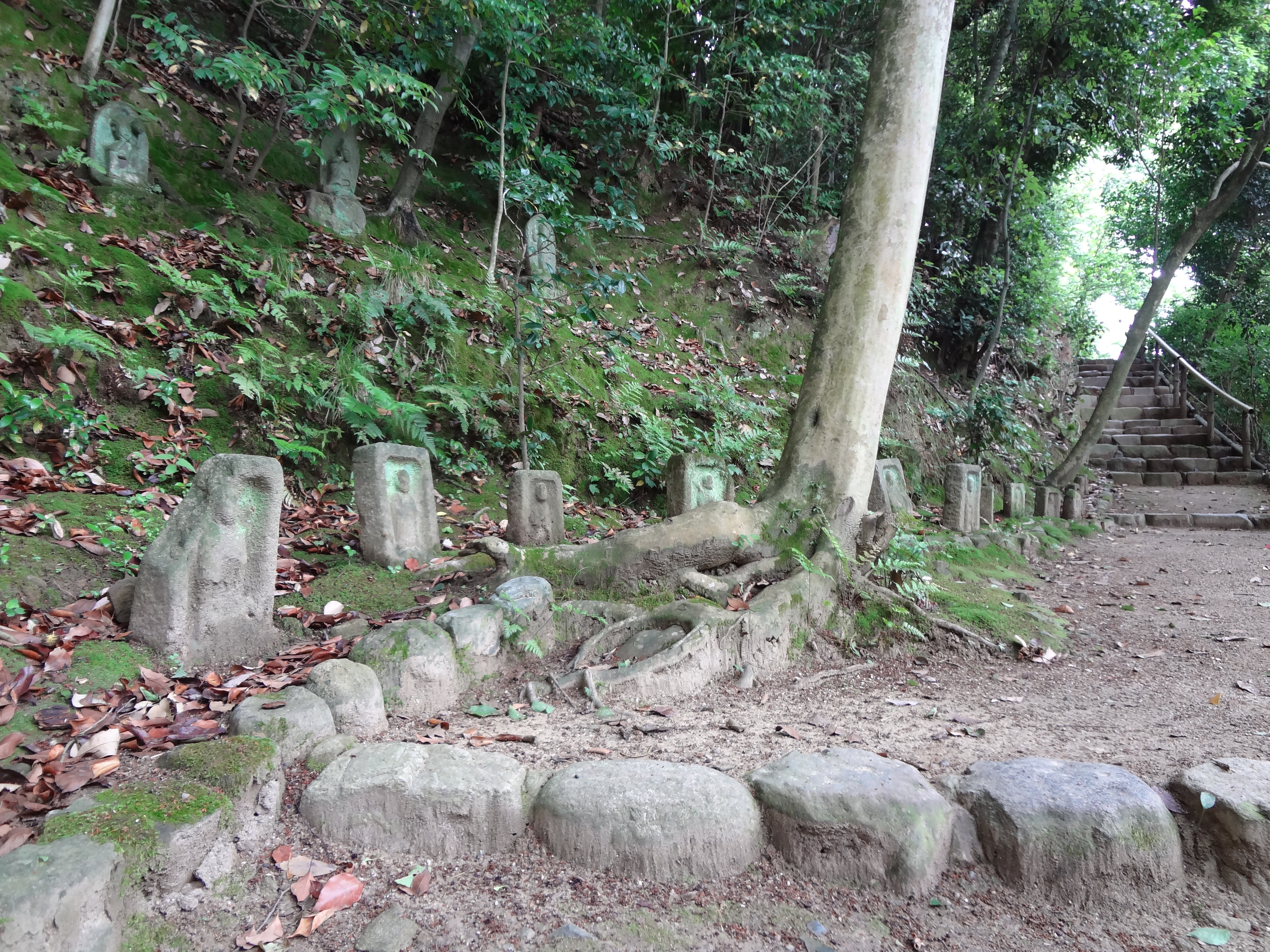 Photograph of Travelogue of Building And BuddhismStatue in Paragraph36 Number16