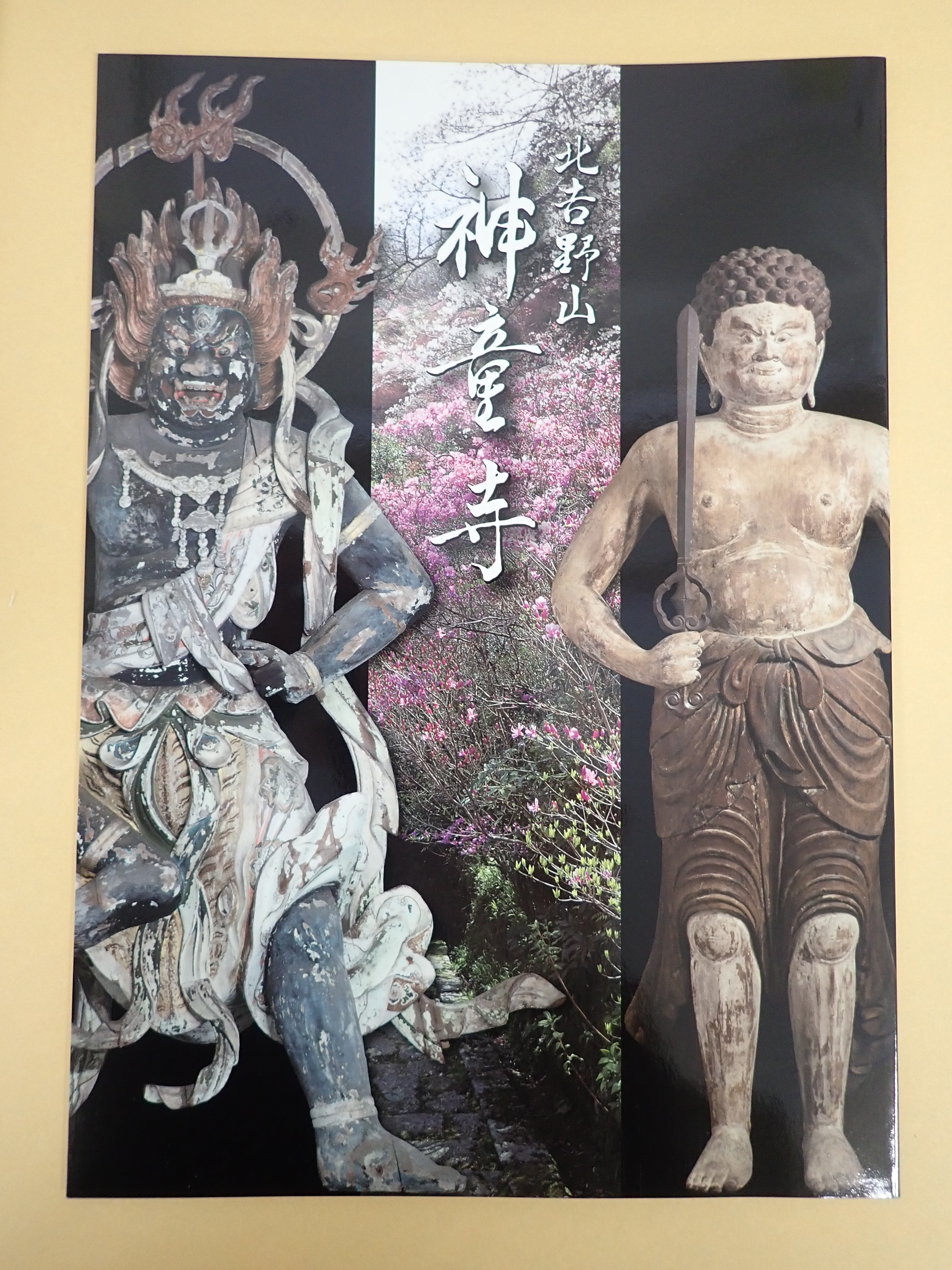 Photograph of Travelogue of Building And BuddhismStatue in Paragraph39 Number15
