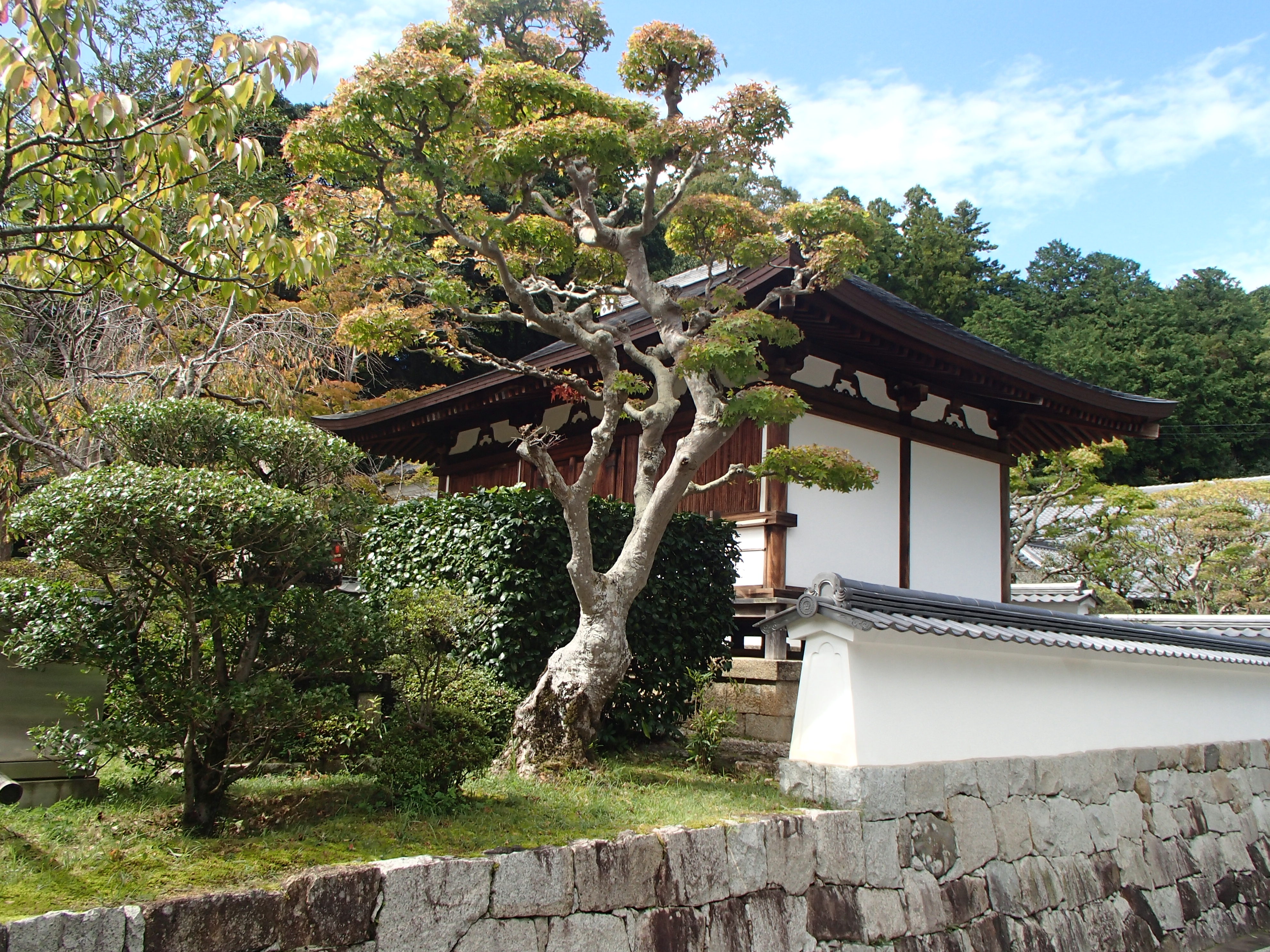 Photograph of Travelogue of Building And BuddhismStatue in Paragraph39 Number31